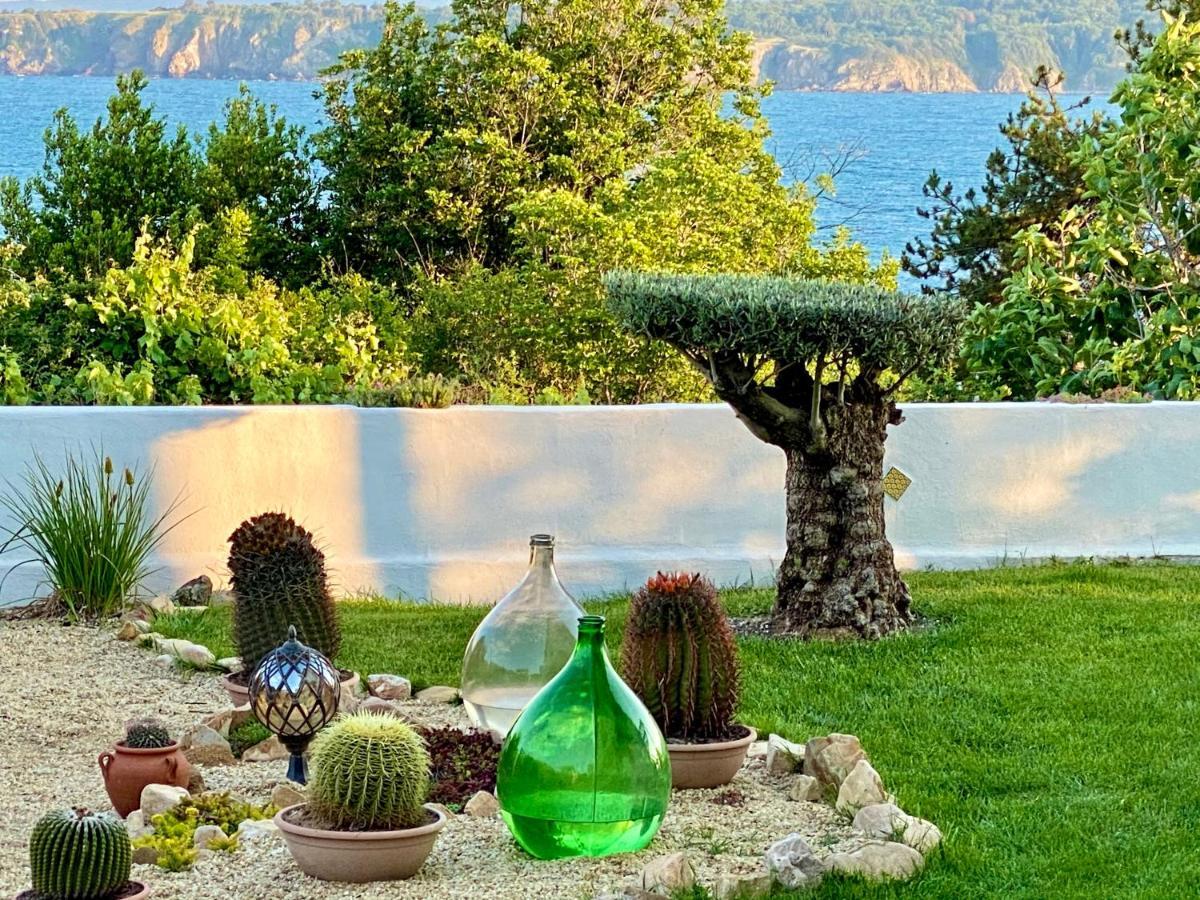 Casa De Oro Alma Aparthotel Σωζόπολη Εξωτερικό φωτογραφία