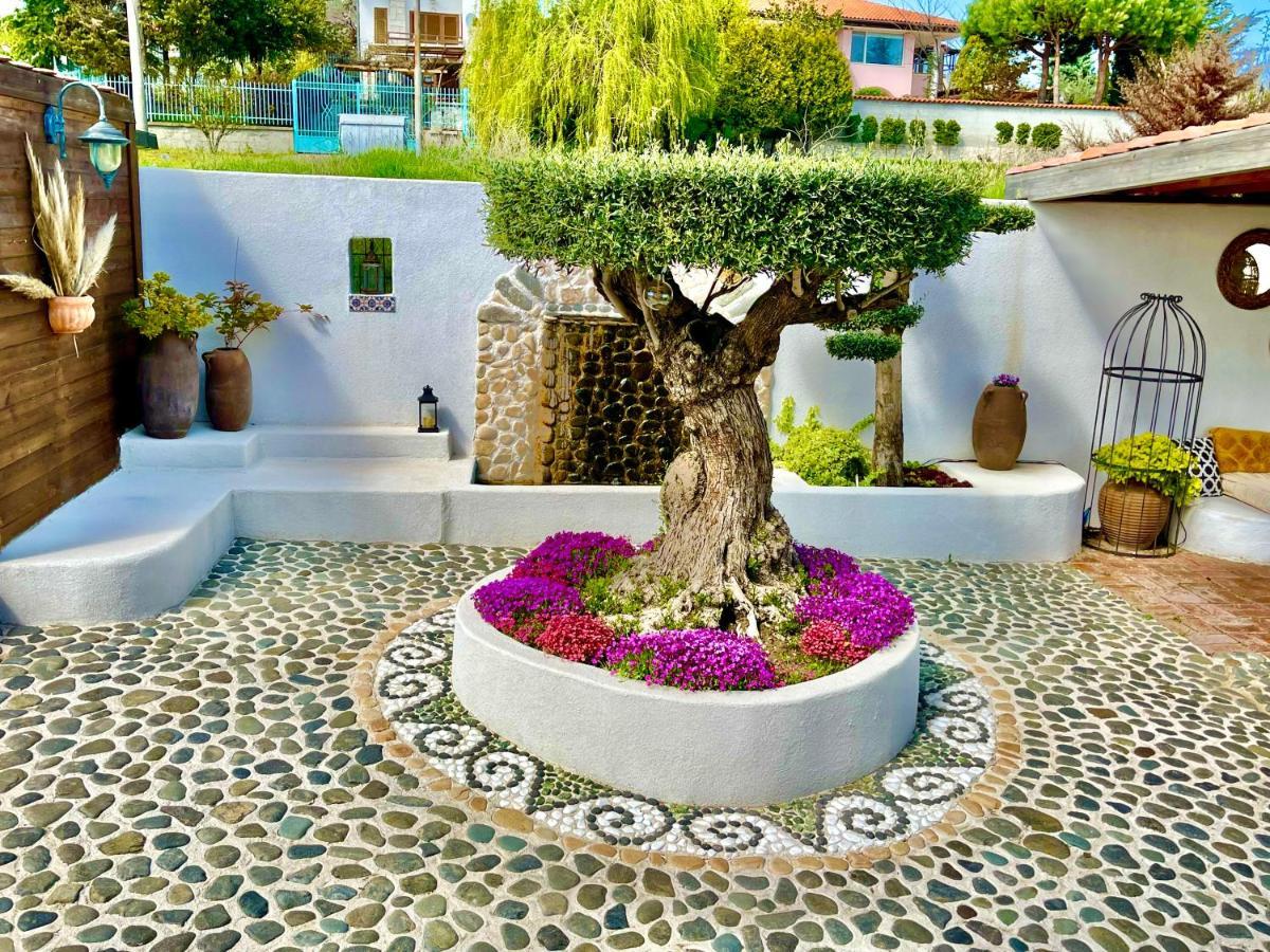 Casa De Oro Alma Aparthotel Σωζόπολη Εξωτερικό φωτογραφία