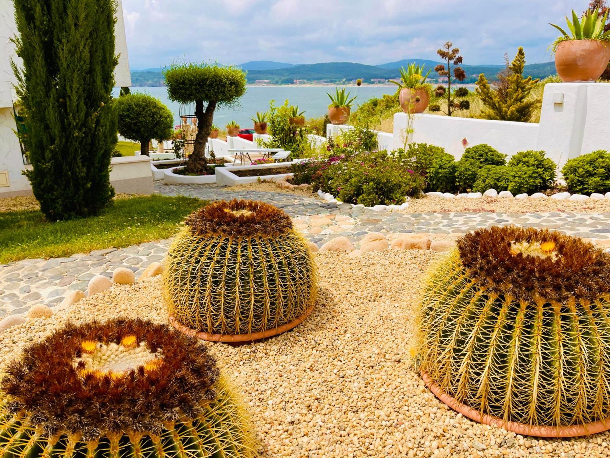 Casa De Oro Alma Aparthotel Σωζόπολη Εξωτερικό φωτογραφία