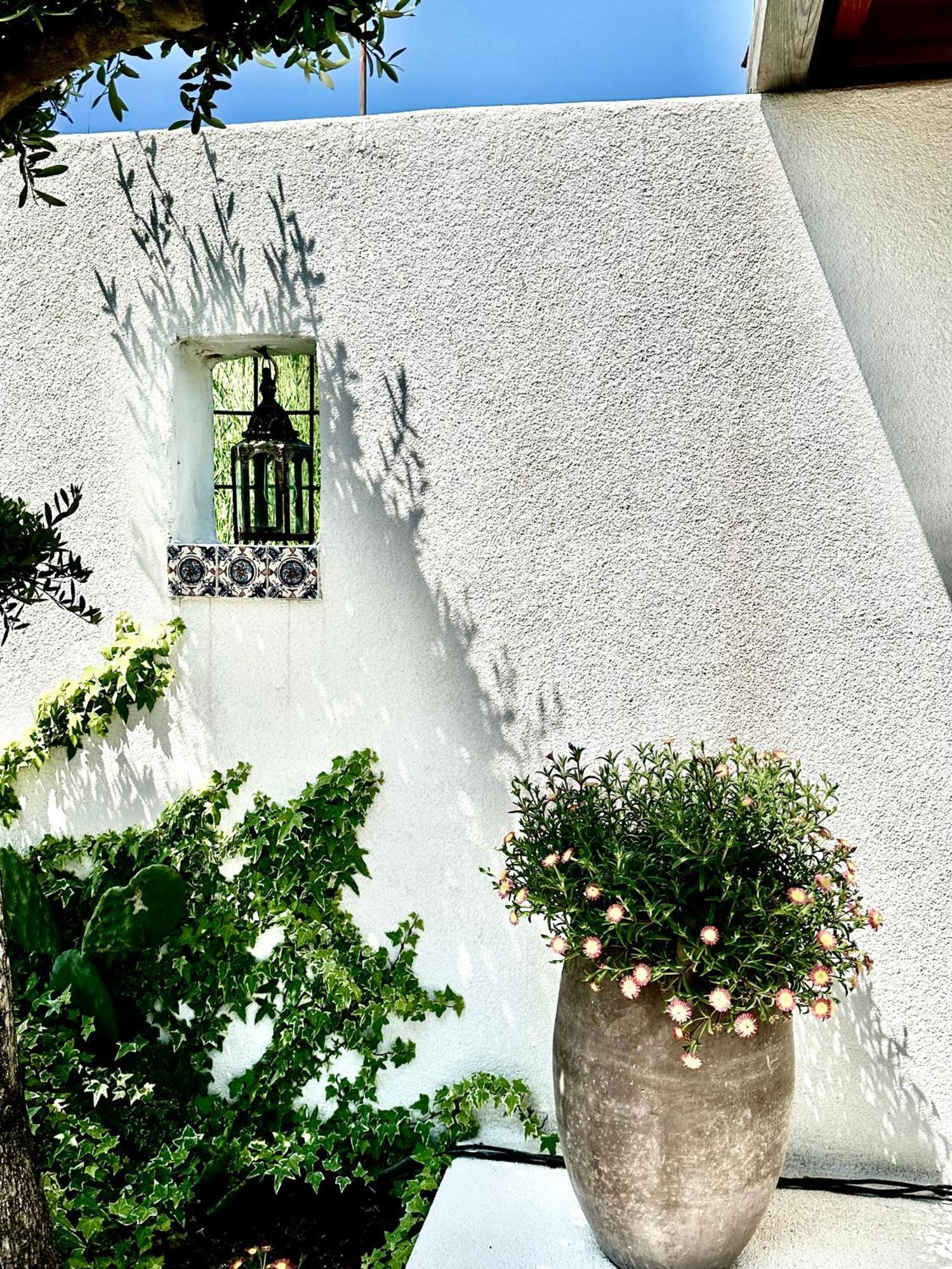 Casa De Oro Alma Aparthotel Σωζόπολη Εξωτερικό φωτογραφία